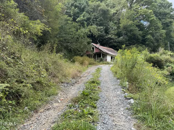 Roan Mountain, TN 37687,380 Crabtree RD