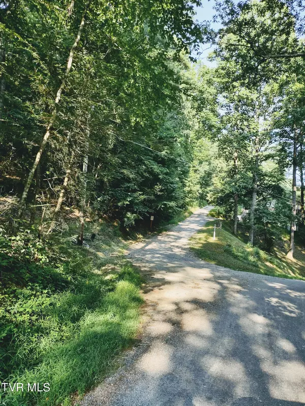 Laurel Bloomery, TN 37680,Tbd White Oak Lane