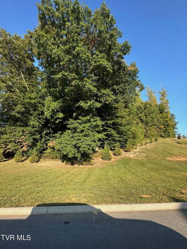 Lot 3 Sylvias Meadow, Jonesborough, TN 37659