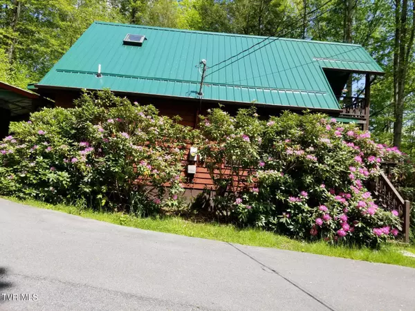 Roan Mountain, TN 37687,110 Shadow Mountain RD