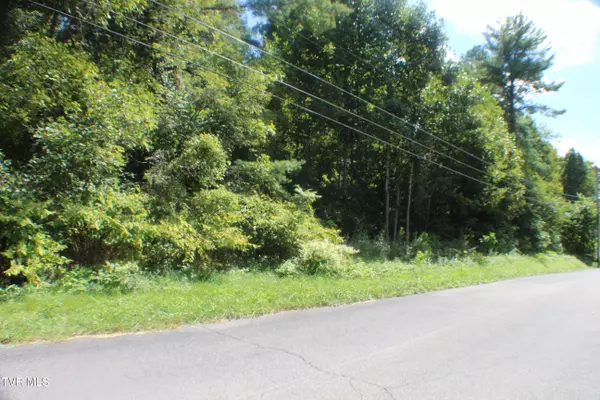 Kingsport, TN 37663,Lot 7 Green Lake DR