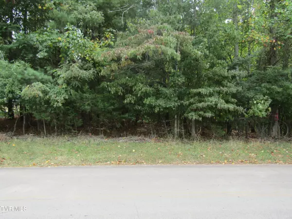 Piney Flats, TN 37686,0 Baywood Dr. Lot 1