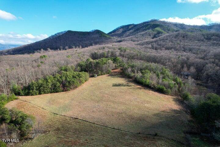 Greeneville, TN 37743,20 Acres Perry Davis RD