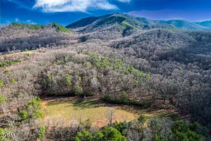 20 Acres Perry Davis RD, Greeneville, TN 37743