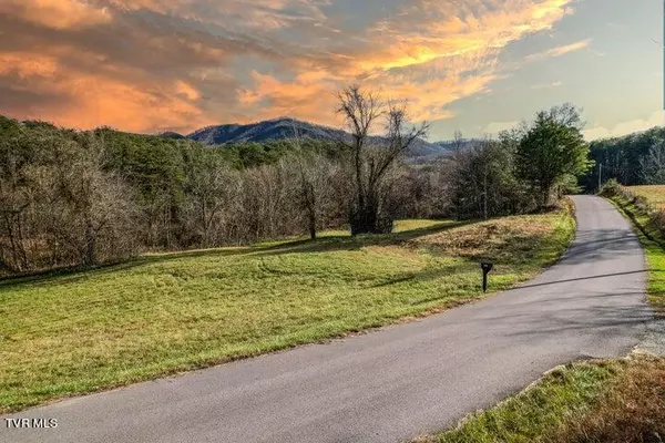 Greeneville, TN 37743,47 Acres Perry Davis RD