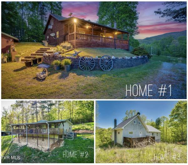 Roan Mountain, TN 37687,143 Horseshoe LN