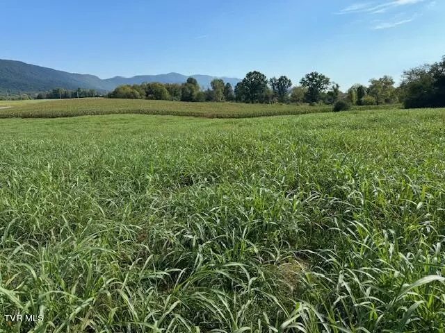 Lafollette, TN 37766,4 Ac General Carl W Stiner HWY