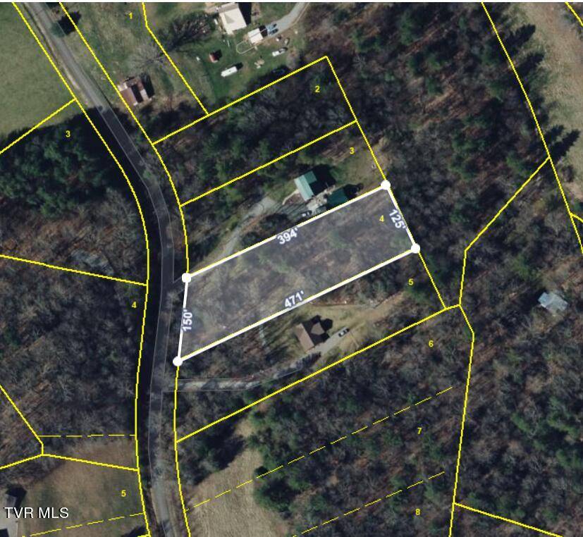 Mountain City, TN 37683,Lot 4 Myrtle DR