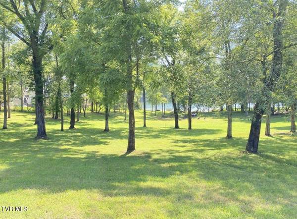 Whitesburg, TN 37891,Lot 19 Walnut Bend Drive DR