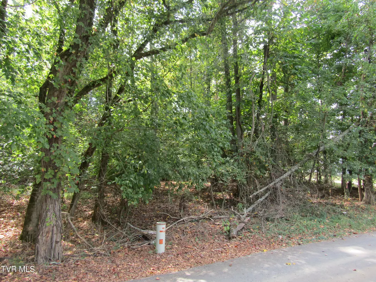 Piney Flats, TN 37686,0 Baywood Dr. Lot 3