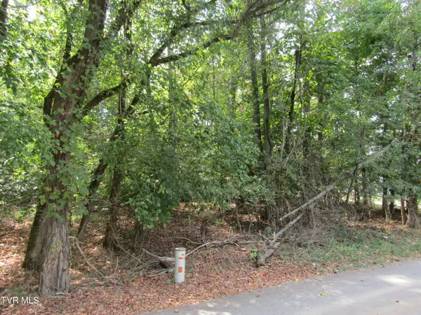 0 Baywood Dr. Lot 3, Piney Flats, TN 37686