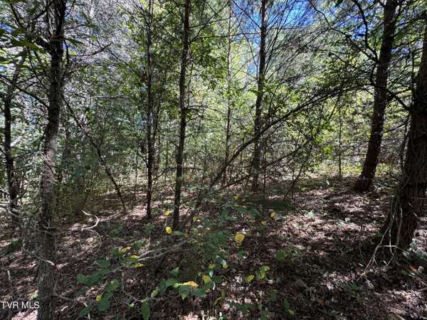 Cosby, TN 37722,Lot 9 Mcgaha Chapel RD