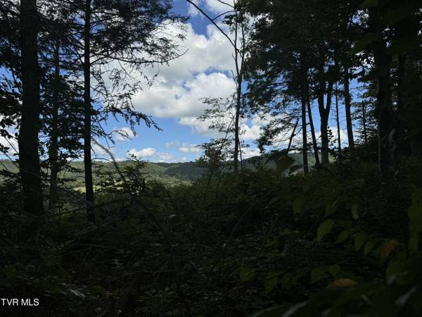 Roan Mountain, TN 37687,221 Shell Creek RD