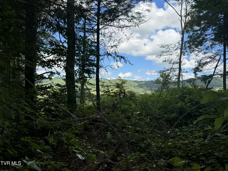 221 Shell Creek RD, Roan Mountain, TN 37687