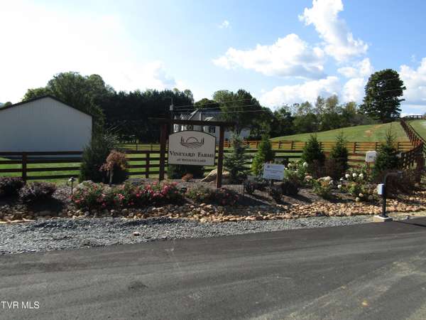 Butler, TN 37640,Lot 33 Vineyard Farms Pkwy