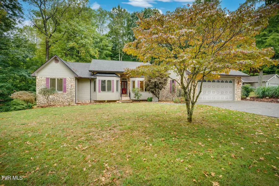 111 Beechbrook DR, Unicoi, TN 37692