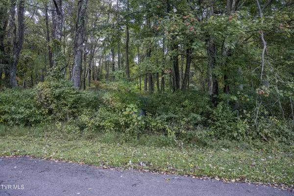 Lebanon, VA 24266,Lot 78-77 Forest Lodge DR