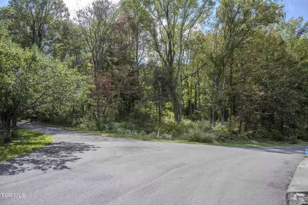 Lebanon, VA 24266,Lot 78-77 Forest Lodge DR