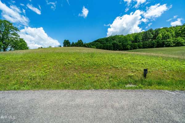 Lot #14 Silver Oak TRL, Butler, TN 37640