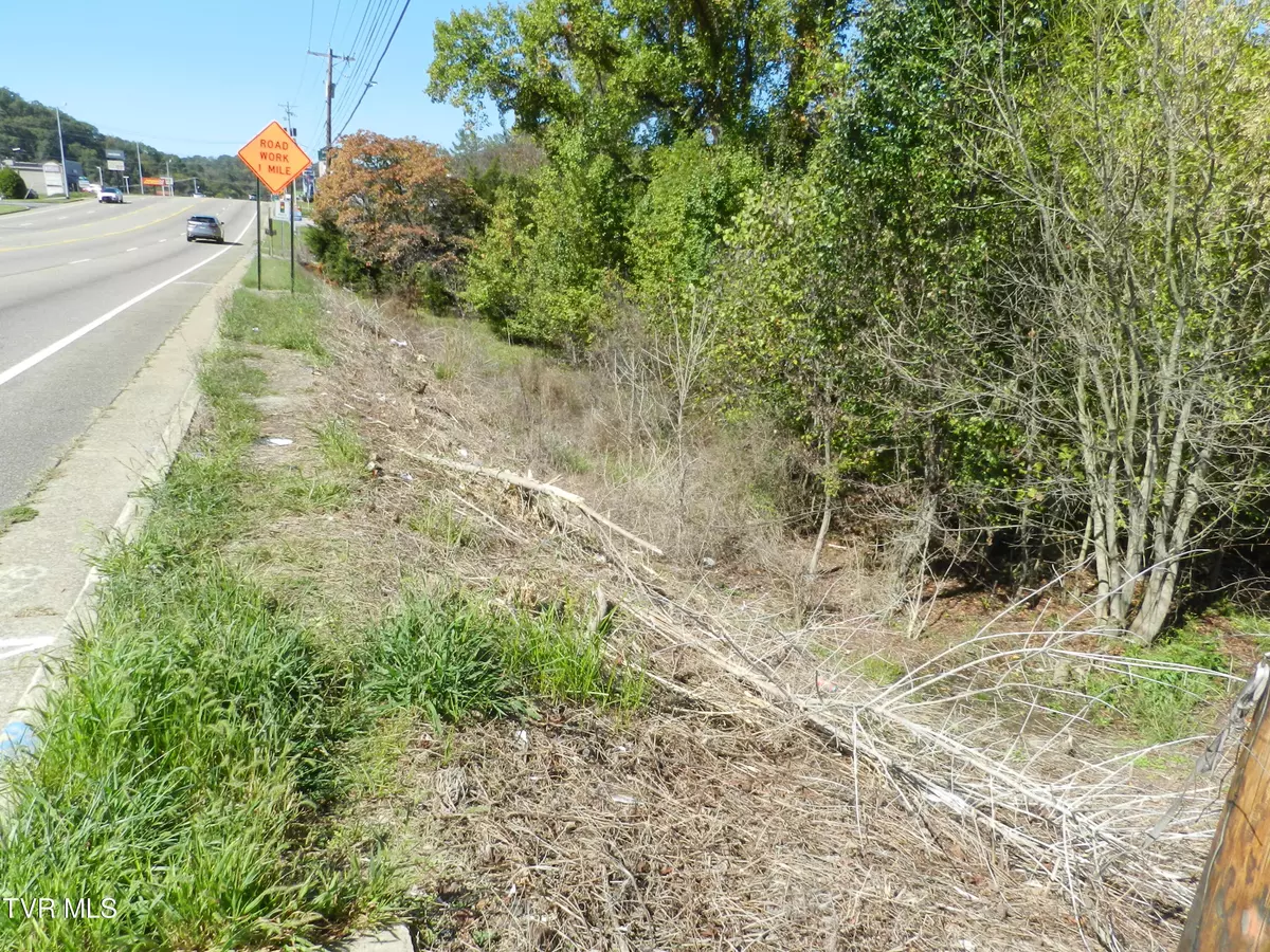 Kingsport, TN 37663,4217 Fort Henry DR