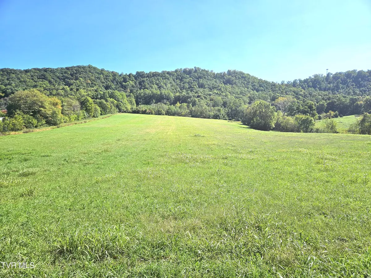 Rogersville, TN 37857,Tbd Caney Creek RD