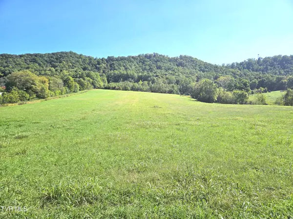 Tbd Caney Creek RD, Rogersville, TN 37857