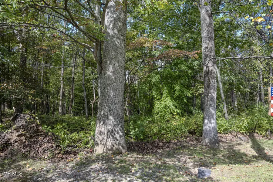 Lot 68 Wood Land CIR, Lebanon, VA 24266