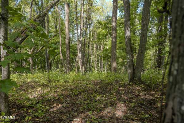 Lebanon, VA 24266,Lot 68 Wood Land CIR