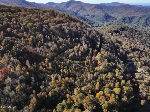 Roan Mountain, TN 37687,Tbd Calusa SPUR