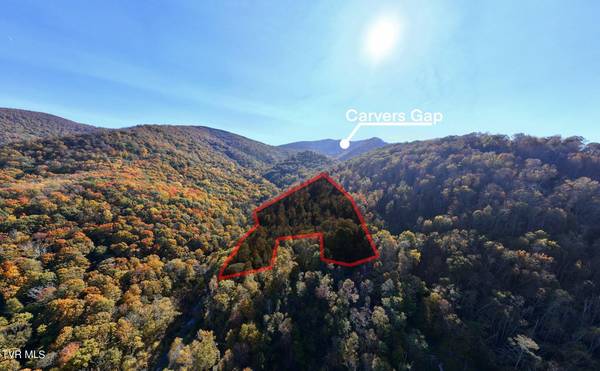 Tbd Calusa SPUR, Roan Mountain, TN 37687