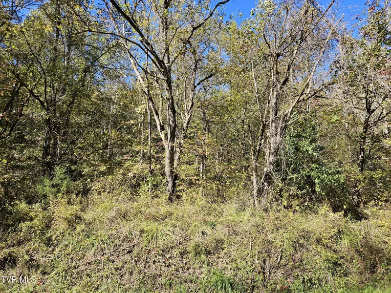 00 Cave Springs RD, Rogersville, TN 37857