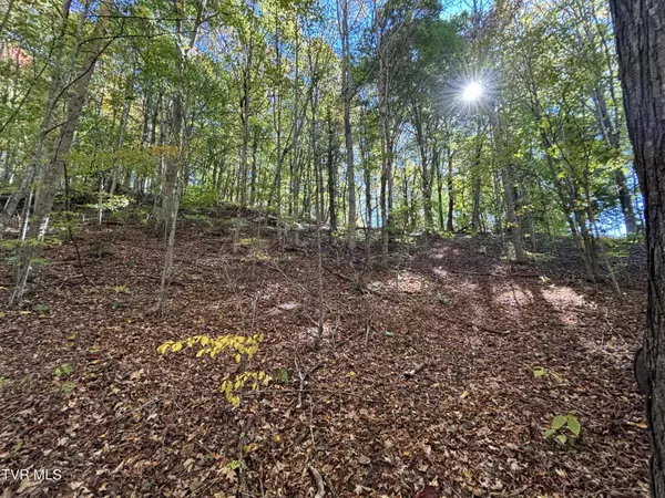 Tbd Heaton Ridge RD, Roan Mountain, TN 37687