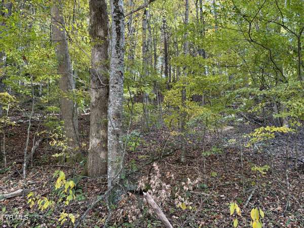 Roan Mountain, TN 37687,Tbd Heaton Ridge RD