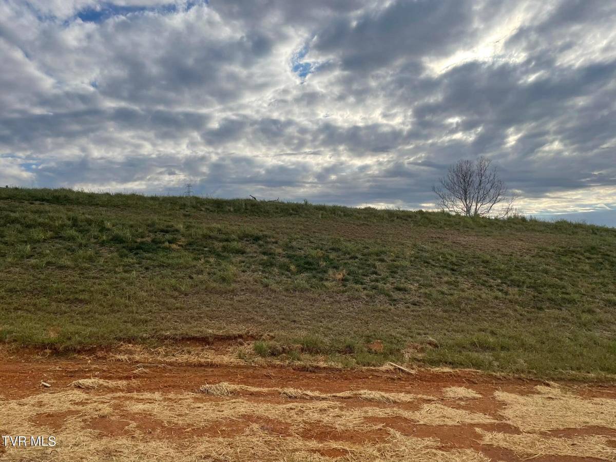 Jonesborough, TN 37659,Lot 38 Dean Archer RD