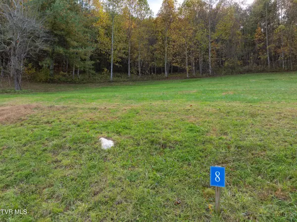 Butler, TN 37640,Lot 8 Eagle Ridge Pkwy