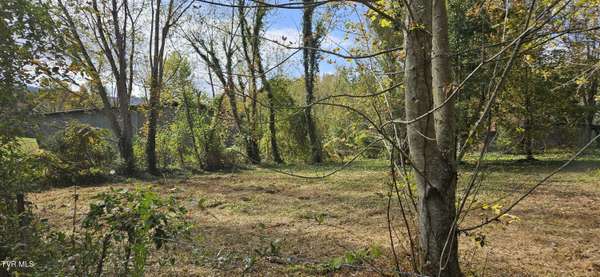 Chuckey, TN 37641,Lot 3 Fishpond RD