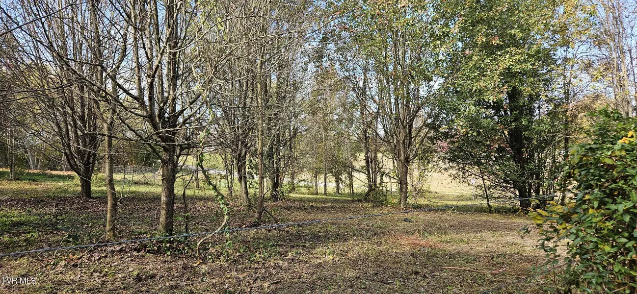 Lot 3 Fishpond RD, Chuckey, TN 37641