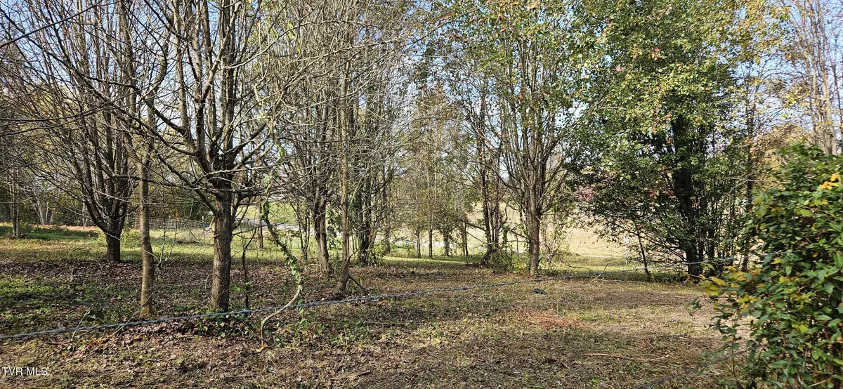 Chuckey, TN 37641,Lot 3 Fishpond RD