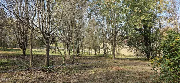 Lot 3 Fishpond RD,  Chuckey,  TN 37641