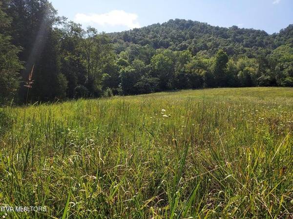 Thorn Hill, TN 37881,Tbd Pawpaw RD