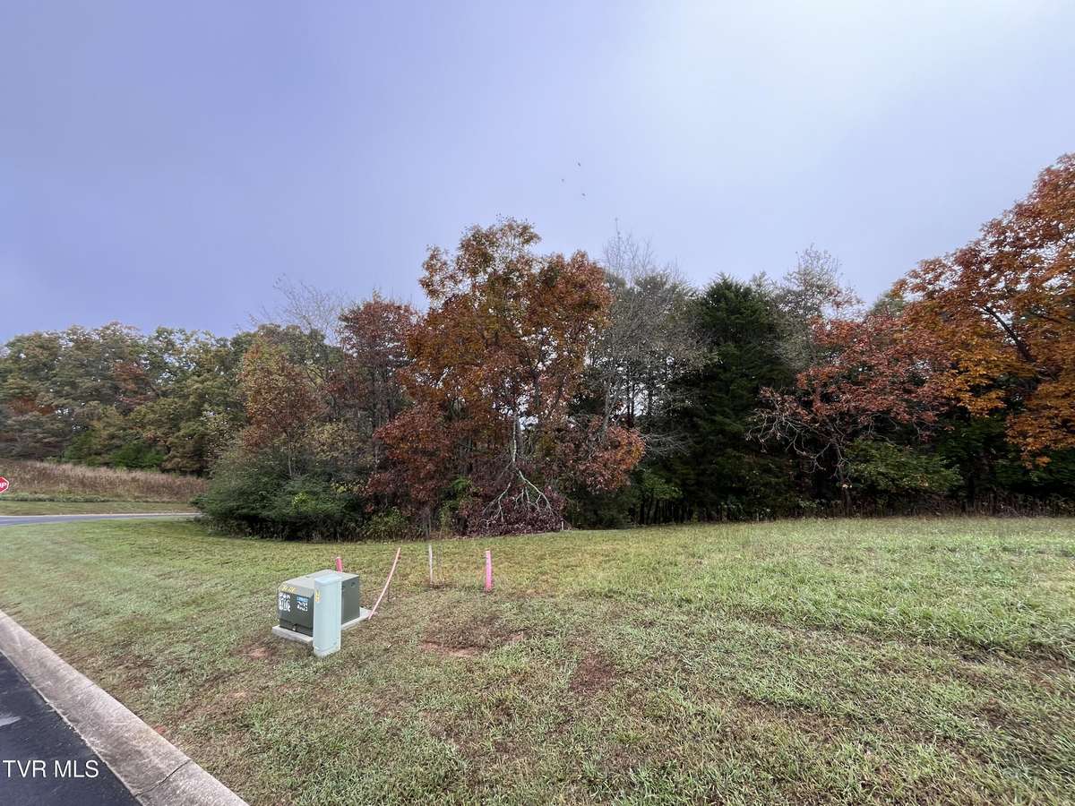 Dandridge, TN 37725,Lot 54 Deer Chase Trl