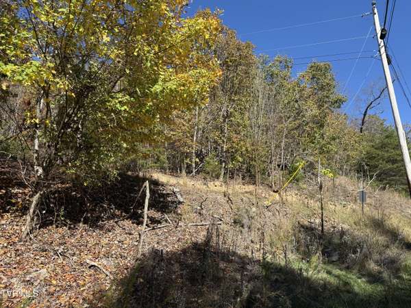 New Tazewell, TN 37825,Tbd Chimney Rock RD