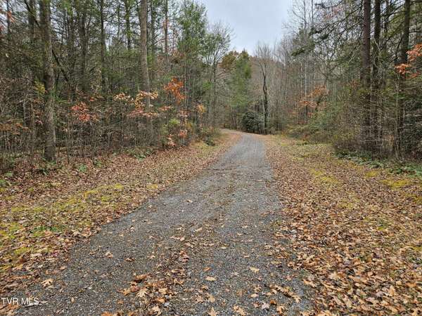 Tazewell, VA 24630,Lot  17 Fox Hollow DR