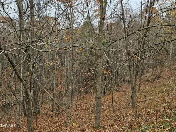 Tazewell, VA 24630,Lot  17 Fox Hollow DR