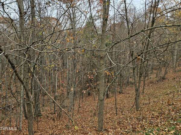 Tazewell, VA 24630,Lot  17 Fox Hollow DR