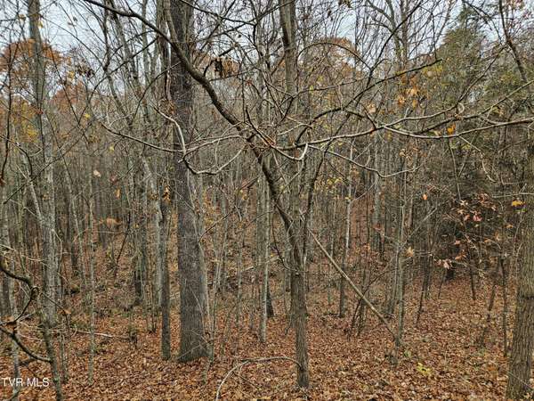 Tazewell, VA 24630,Lot  17 Fox Hollow DR