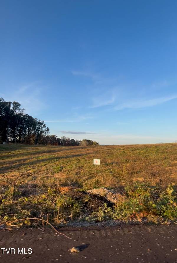 Lot 8 Laura Boling Loop, Strawberry Plains, TN 37871