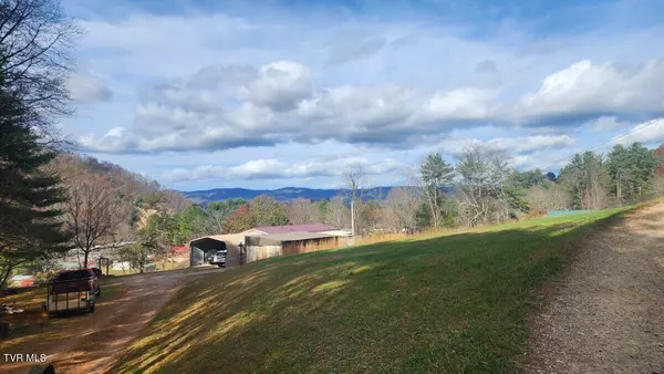 295 Larrys LN,  Mountain City,  TN 37683