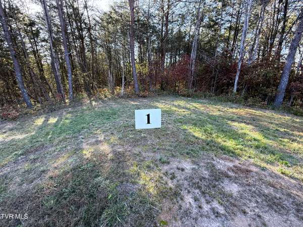 Parrottsville, TN 37843,Tracts 1-3 Topaz WAY