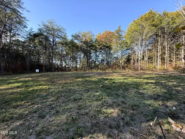 Parrottsville, TN 37843,Tracts 1-3 Topaz WAY